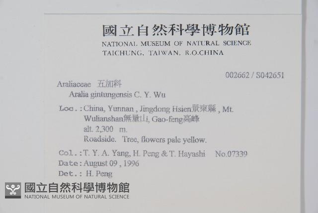 登錄號:S042651藏品圖，第2張