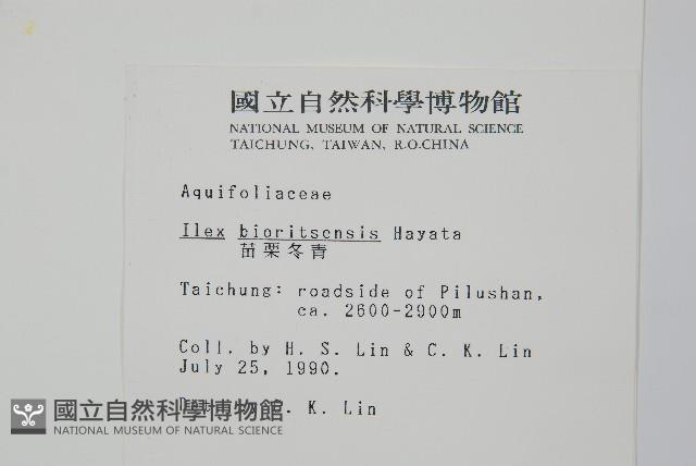 Bioritsu holly Collection Image, Figure 2, Total 2 Figures