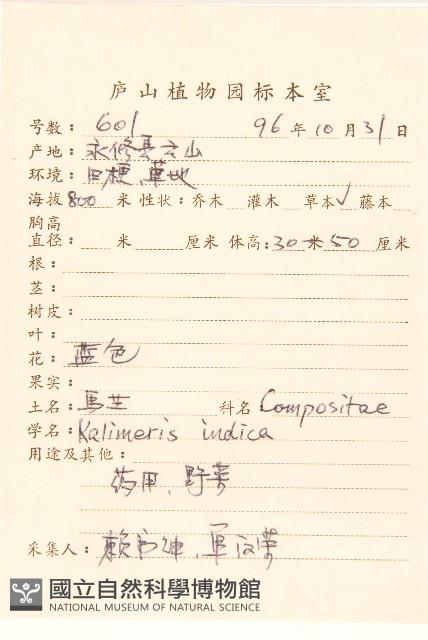 雞兒腸藏品圖，第2張