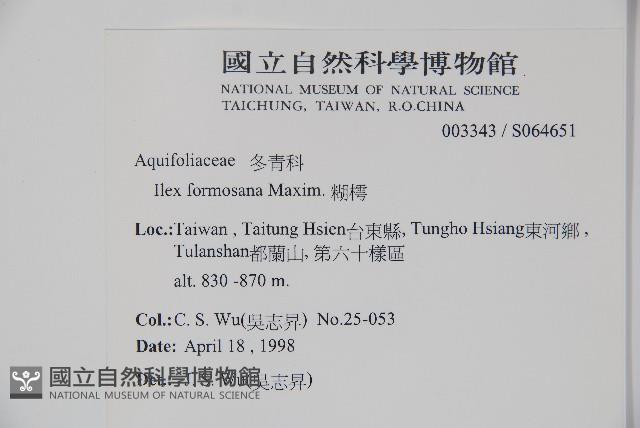 糊樗藏品圖，第2張