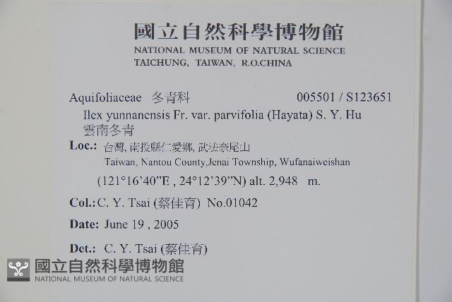 雲南冬青藏品圖，第2張