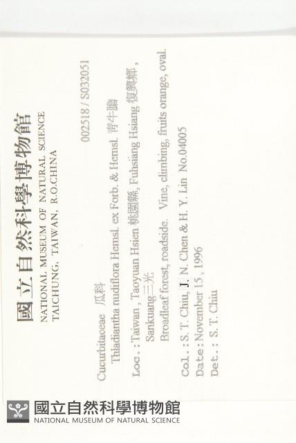 青牛膽藏品圖，第2張