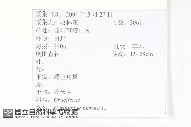 碎米薺藏品圖，第2張