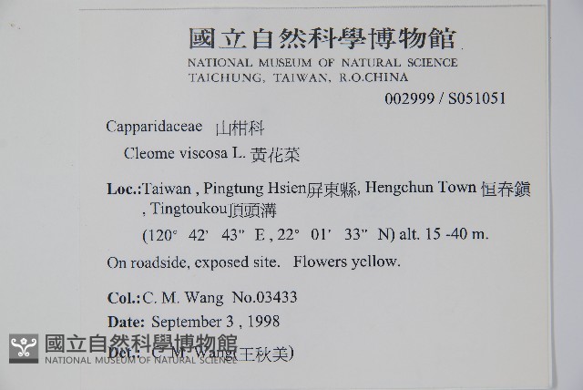 向天黃藏品圖，第2張