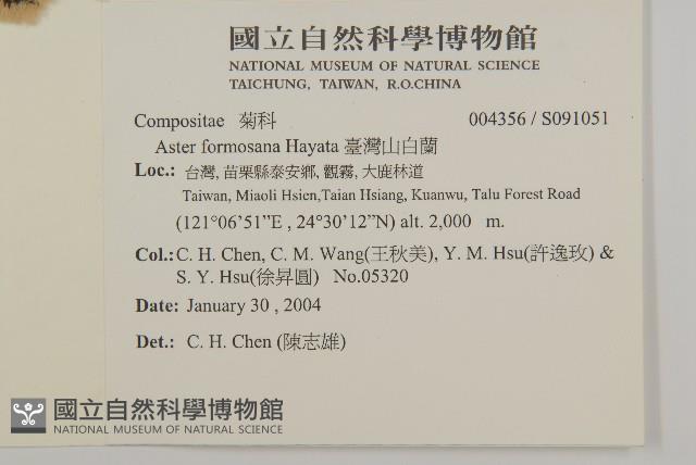 臺灣山白蘭藏品圖，第2張