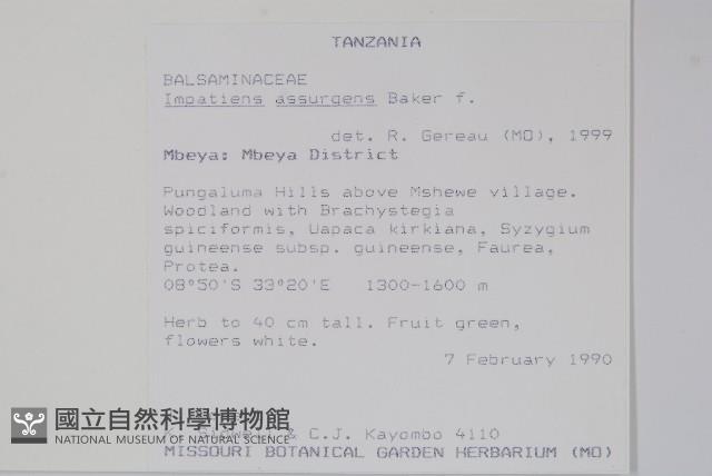 登錄號:S094051藏品圖，第2張