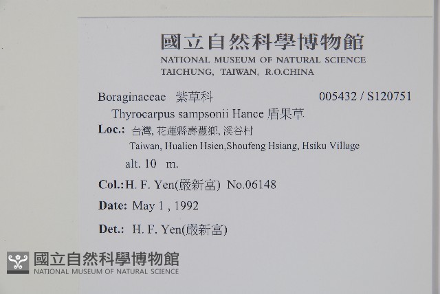 盾果草藏品圖，第2張