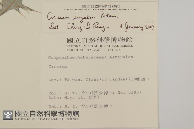 鈴木氏薊藏品圖，第2張