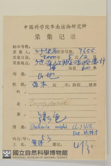繁縷藏品圖，第2張