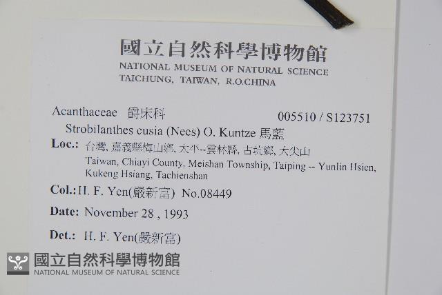 馬藍藏品圖，第2張