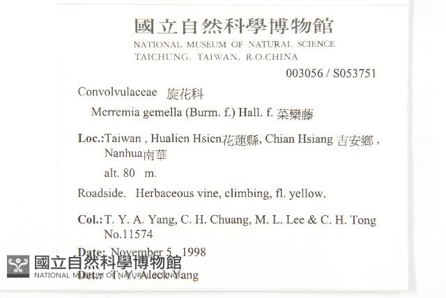 菜欒藤藏品圖，第2張