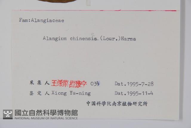 八角楓藏品圖，第2張