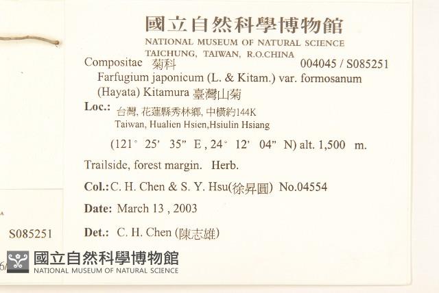 臺灣款冬藏品圖，第2張