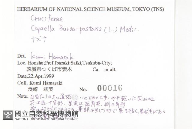 薺藏品圖，第2張