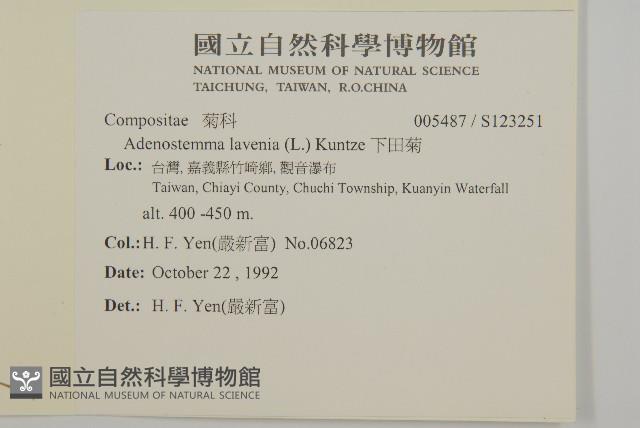 下田菊藏品圖，第2張