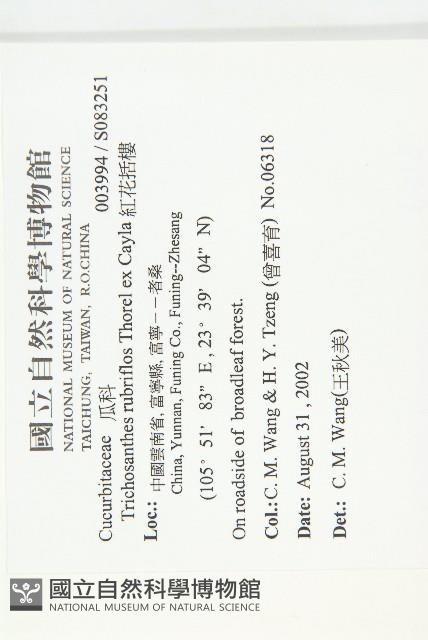 紅花括樓藏品圖，第2張