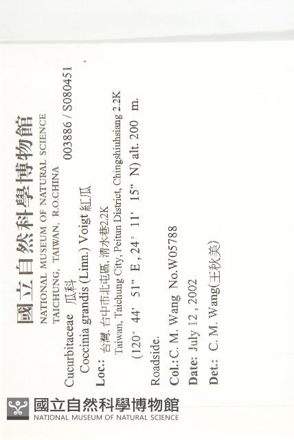 紅瓜藏品圖，第2張