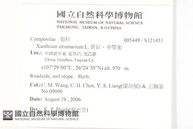 蒼耳、羊帶來藏品圖，第2張