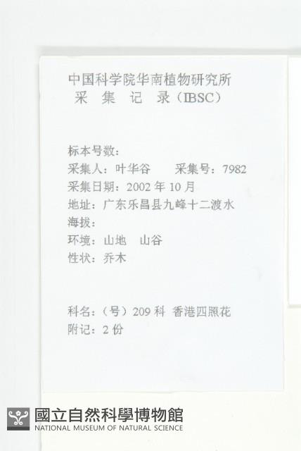 香港四照花藏品圖，第2張