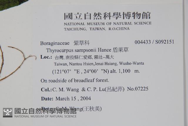 盾果草藏品圖，第2張