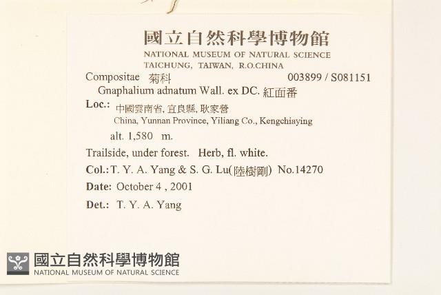 紅面番藏品圖，第2張