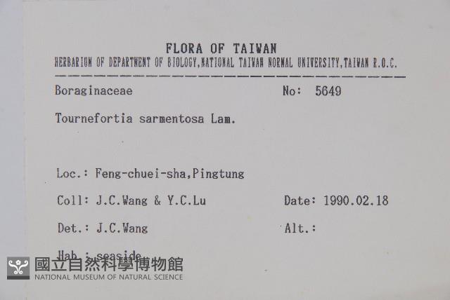 冷飯藤藏品圖，第2張