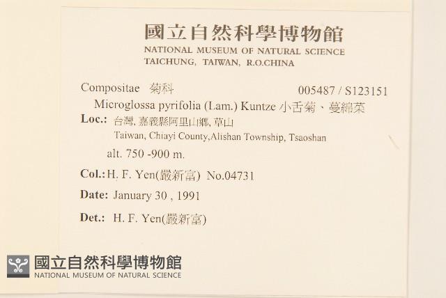 小舌菊、蔓綿菜藏品圖，第2張