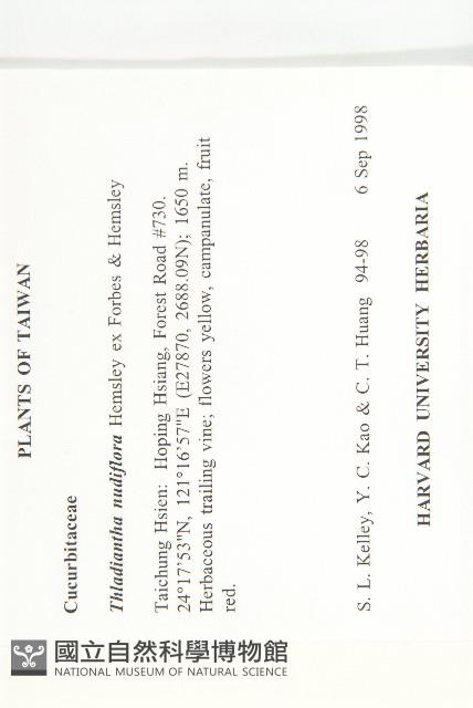 青牛膽藏品圖，第2張