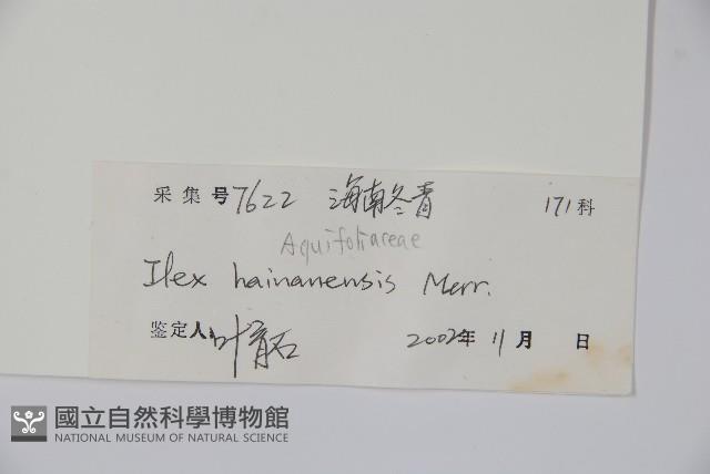 海南冬青藏品圖，第2張