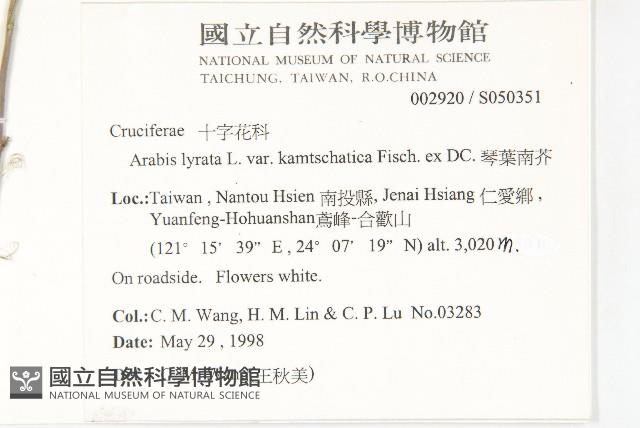 琴葉南芥藏品圖，第2張