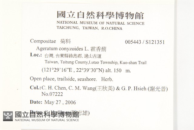 霍香薊藏品圖，第2張
