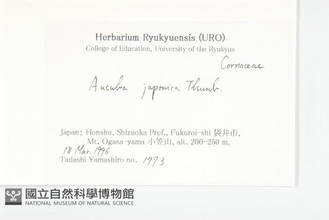 東瀛珊瑚藏品圖，第2張