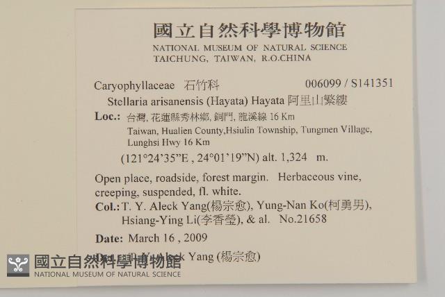 阿里山繁縷藏品圖，第2張