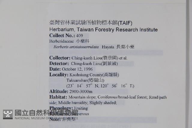 臺灣小蘗藏品圖，第2張