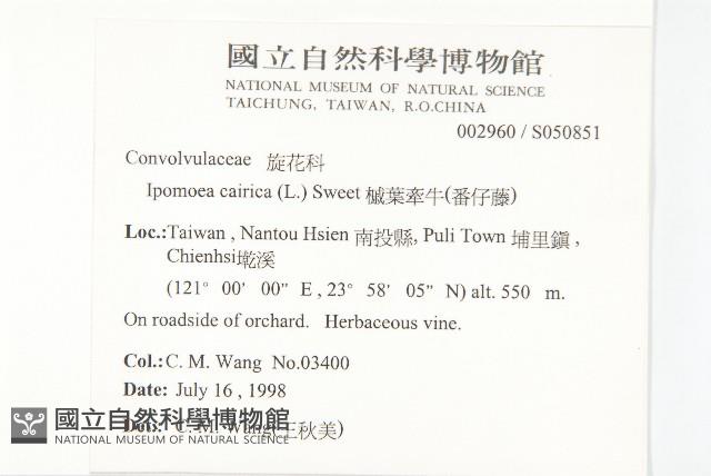 番仔藤藏品圖，第2張