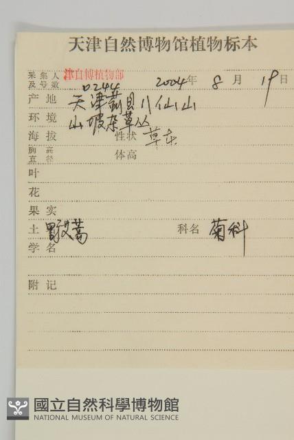 野艾蒿藏品圖，第2張