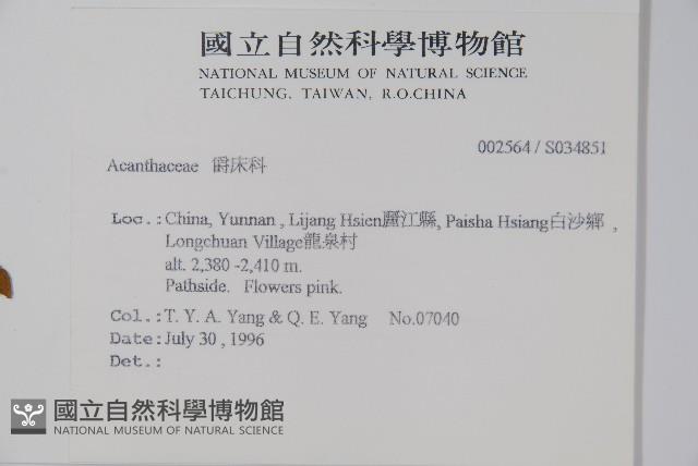 登錄號:S034851藏品圖，第2張