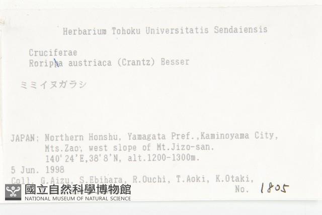 奧地利葶藶藏品圖，第2張