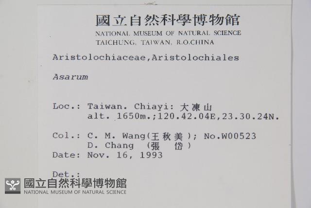 登錄號:S012951藏品圖，第2張