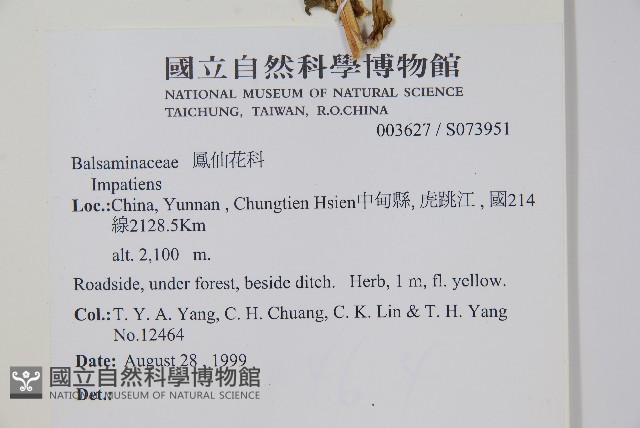 登錄號:S073951藏品圖，第2張