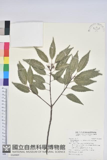 玉山水苦賈藏品圖，第1張