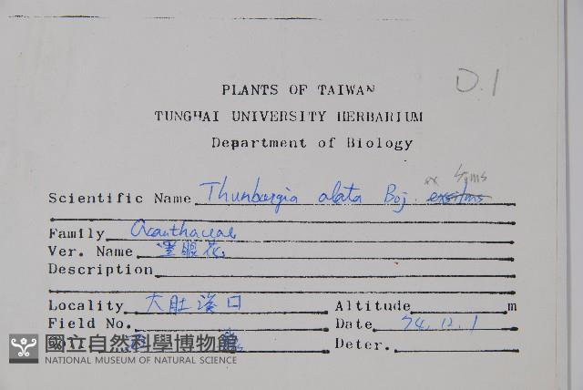 黑眼花藏品圖，第2張