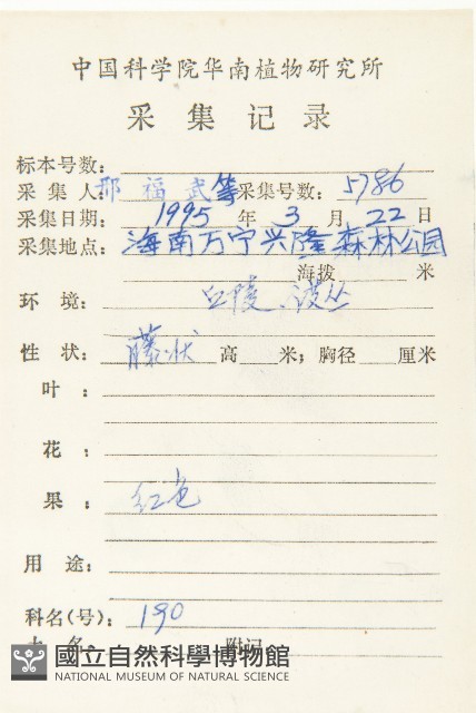 角花胡頹子藏品圖，第2張