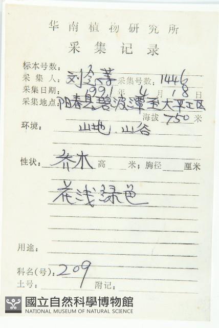 香港四照花藏品圖，第2張