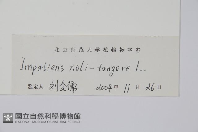 水金鳳藏品圖，第2張