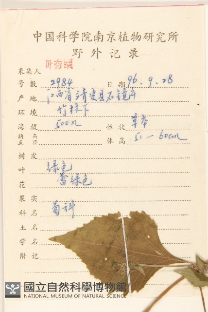 豨簽藏品圖，第2張
