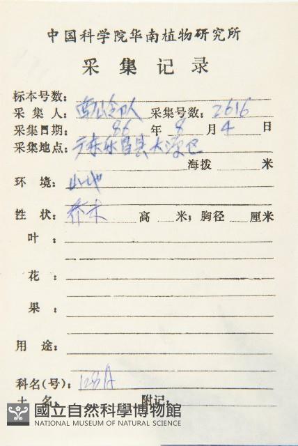 華杜英藏品圖，第2張