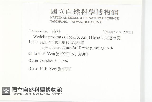 天蓬草舅藏品圖，第2張