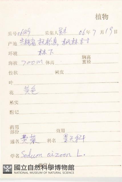 費菜藏品圖，第2張