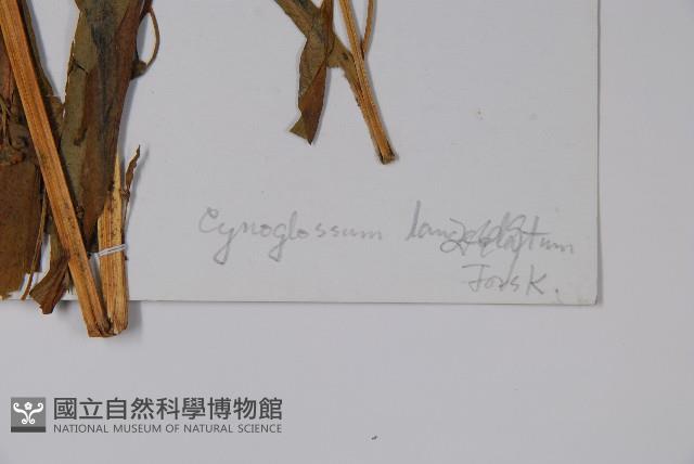 小花倒提壺藏品圖，第2張